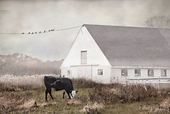 RLV804 - Barnyard Bliss - 18x12