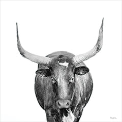 RLV806 - Horns Plenty - 12x12