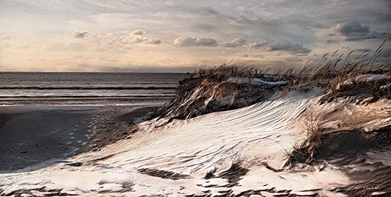 Robin-Lee Viera RLV817 - RLV817 - To the Sea - 18x9 sand dunes, beach grass, footprints in sand, shoreline at sunset, peaceful beach scene, coastal dunes, ocean waves, pastel sky from Penny Lane