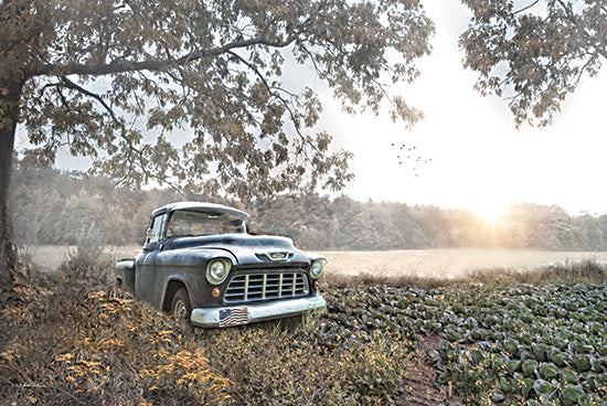 Robin-Lee Vieira RLV827 - RLV827 - The Cabbage Patch - 18x12 abandoned vintage truck, farmland, misty sunrise, green cabbage patch, wildflowers, nostalgic countryside, rustic scene from Penny Lane