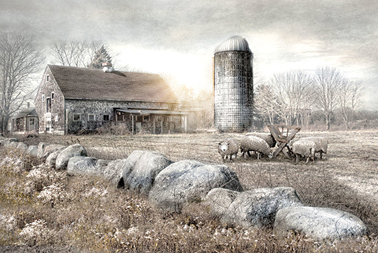 Robin-Lee Vieira RLV830 - RLV830 - Weeds and Wool - 18x12 sheep grazing, old barn, stone wall, dramatic lighting, cloudy sky, winter meadow, farmstead from Penny Lane