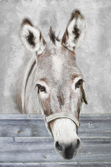 RLV839 - Sunny in the Barn - 12x18