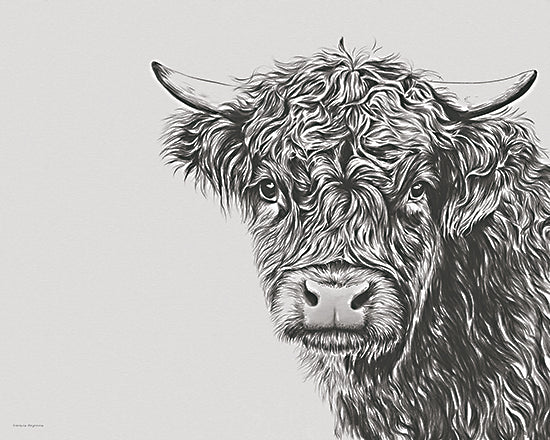 Svetlana Aleinikova SA104 - SA104 - Highland - 16x12 highland cow, curly hair, black and white sketch, realistic illustration, farm animal, serious expression from Penny Lane