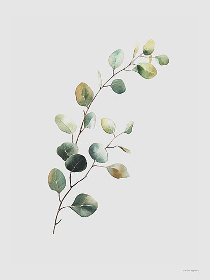 Svetlana Aleinikova SA128 - SA128 - Eucalyptus Whisper - 12x16 watercolor oyster shell seafood illustration, coastal cuisine, shell texture from Penny Lane