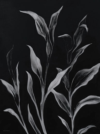 Svetlana Aleinikova SA667 - SA667 - Moonlit Branches - 12x16 black background botanical, white leaves, monochrome plant study, dramatic foliage, minimalist floral art, high contrast painting, elegant stems, modern botanical decor, black and white leaves, moody nature print, contemporary wall art, sculptural foliage, refined organic design, nighttime garden feel, painterly plant silhouette from Penny Lane