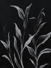 SA667 - Moonlit Branches - 12x16
