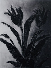 SA668 - Shadow Botanica - 12x16