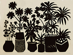 SA670 - Potted Shadows II - 16x12
