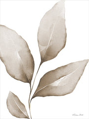 SB1429 - Neutral Simplicity Leaves 1 - 12x16