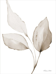 SB1430 - Neutral Simplicity Leaves 2 - 12x16