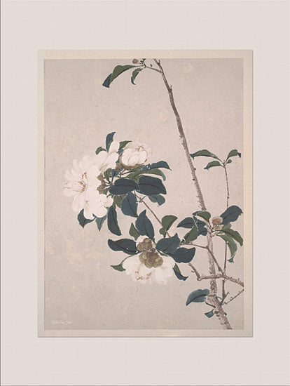 Stellar Design Studio SDS1212 - SDS1212 - Vintage Floral - 12x16 Floral painting, botanical print, white camellia flowers, vintage art, traditional Japanese style, minimal background, nature and bloom, serene composition from Penny Lane
