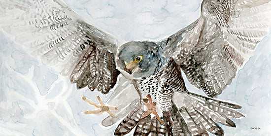 Stellar Design Studio SDS1359 - SDS1359 - Spread of Feathers - 18x9 falcon in flight, watercolor hawk, detailed feathers, open wings, predatory bird, dynamic wildlife, soaring bird art from Penny Lane