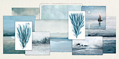 SDS1449 - Moody Blue Coastal Collage - 18x9