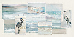 SDS1450 - Ocean Memories Collage - 18x9