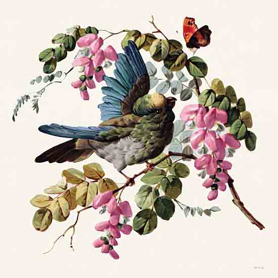 Stellar Design Studio SDS1466 - SDS1466 - Parakeet on Branch 1 - 12x12 bird and butterfly, pink flowers, green parrot, botanical illustration, floral branch, colorful nature, vintage naturalist art from Penny Lane