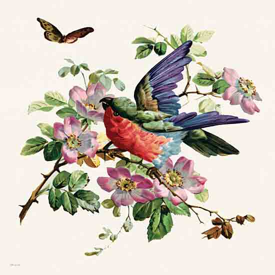 Stellar Design Studio SDS1467 - SDS1467 - Parakeet on Branch 2 - 12x12 vintage illustration, bird, butterfly, pink flowers, floral branch, botanical art, naturalist drawing, colorful feathers, blooming branch, garden scene from Penny Lane