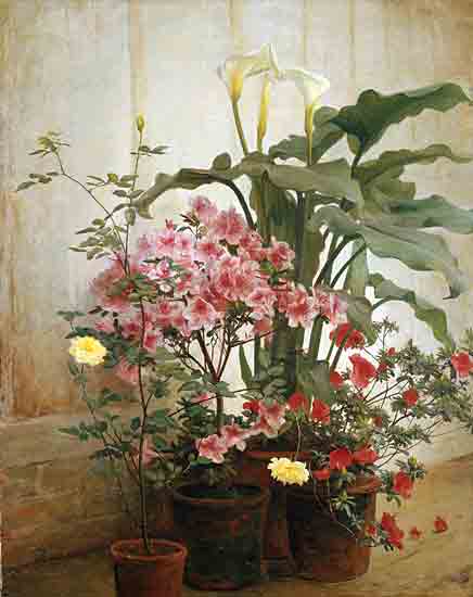 Stellar Design Studio SDS1490 - SDS1490 - Side of a Greenhouse - 12x16 still life, potted plants, azaleas, lilies, indoor floral arrangement, natural lighting, floral diversity, realistic flowers, classic painting, botanical subject from Penny Lane