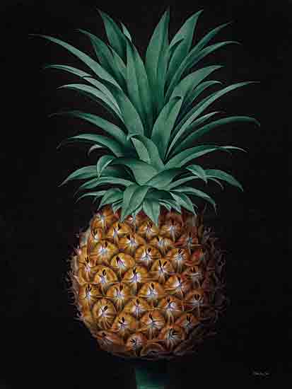 Stellar Design Studio SDS1504 - SDS1504 - Vintage Pineapple II - 12x16 pineapple, botanical, tropical fruit, stylized, realistic rendering, fruit study, dark background, vivid color from Penny Lane