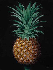 SDS1504 - Vintage Pineapple II - 12x16