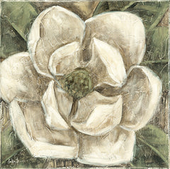 SGD253 - Southern Belle - 12x12