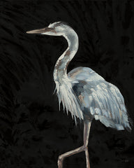 SGD273 - Great Blue on Black - 12x16