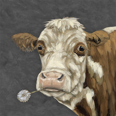 SGD276 - Looking Dandy - 12x12