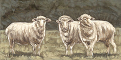 SGD292 - Pastoral Gathering - 18x9