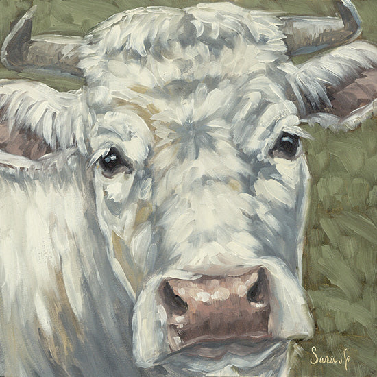 Sara G. Designs SGD293 - SGD293 - Pearl of the Pasture - 12x12 white cow, green background, calm cow portrait, light brush strokes, farm animal decor from Penny Lane