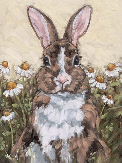 Sara G. Designs SGD294 - SGD294 - Whiskers and Wildflowers - 12x16 brown rabbit, close up, chamomile flowers, field, big eyes, endearing, bunny, spring from Penny Lane