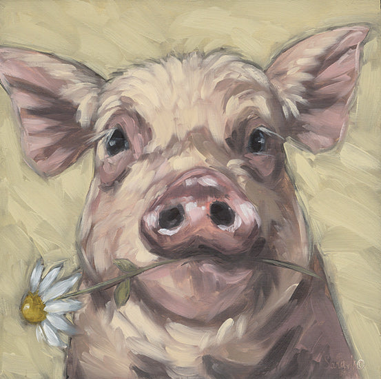 Sara G. Designs SGD302 - SGD302 - Blossom Babe 1 - 12x12 piglet, daisy, humorous, close-up, barnyard animal, pink tones, country charm, flower in mouth from Penny Lane