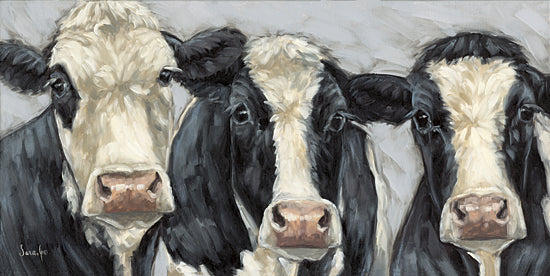 Sara G. Designs SGD304 - SGD304 - Ink and Ivory - 18x9 three cows, close-up portrait, black and white cows, humorous grouping, farm animal lineup from Penny Lane