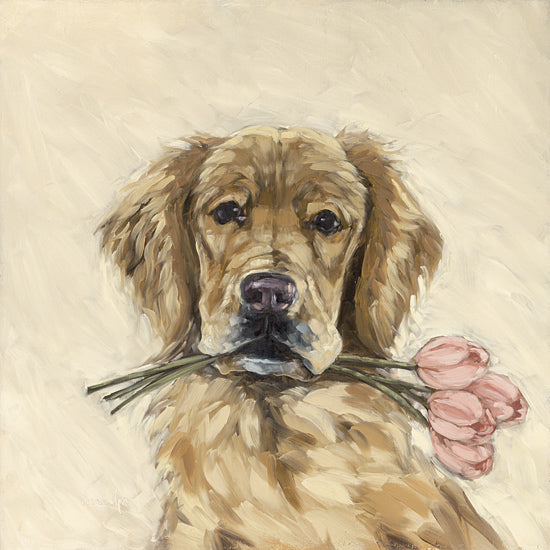 Sara G. Designs SGD315 - SGD315 - These are for You - 12x12 golden retriever, dog with flowers, pink tulips, pet portrait, animal painting, sweet expression, floral accent, brush strokes, painterly style, light background from Penny Lane