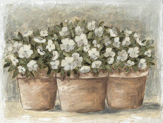 Sara G. Designs SGD349 - SGD349 - Subtle Beauty    - 16x12 three flower pots, white blossoms, lush greenery, neutral background, rustic setting, grouped arrangement from Penny Lane