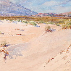 ST1113 - Desert Dreams II - 12x12