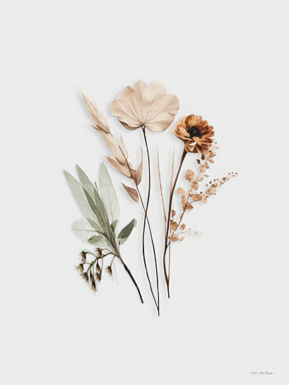 Seven Trees Design ST1143 - ST1143 - Chic Blooms - 12x16 dried flowers, minimal composition, neutral background, botanical art, fall tones, elegant simplicity from Penny Lane