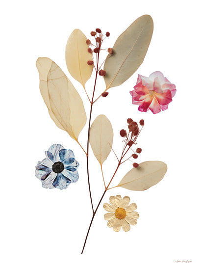 Seven Trees Design ST1145 - ST1145 - Faded Blossoms - 12x16 botanical branch flowers illustration, modern floral specimen art from Penny Lane