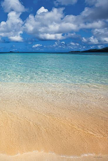 Catch A Star Fine Art STAR110 - STAR110 - Caribbean Beach Diptych II - 12x18 clear turquoise ocean, shallow beach waters, white sand, tropical coast, distant islands, blue sky, fluffy clouds from Penny Lane