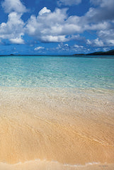 STAR110 - Caribbean Beach Diptych II - 12x18