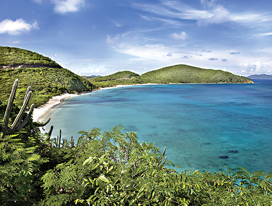 Catch A Star Fine Art STAR115 - STAR115 - Caribbean Overlook - 16x12 clear turquoise ocean, shallow beach waters, white sand, tropical coast, distant islands, blue sky, fluffy clouds from Penny Lane
