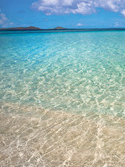 STAR119 - Caribbean Shoreline Diptych I - 12x16