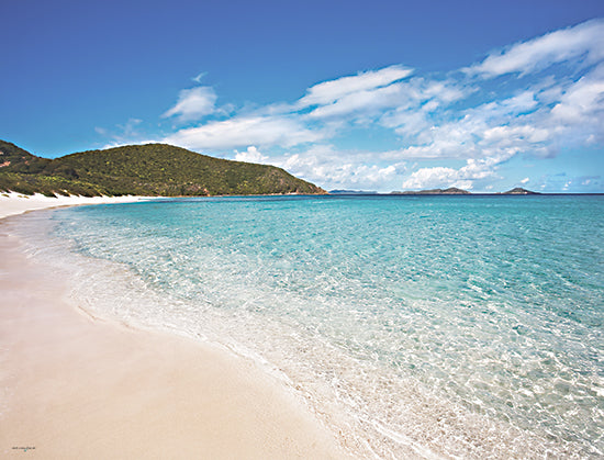 Catch A Star Fine Art STAR130 - STAR130 - Coastal Caribbean Shoreline Triptych I - 16x12 crystal clear water, tropical beach, green hills, horizon islands, white sand, pristine shoreline, panoramic view, vibrant ocean from Penny Lane