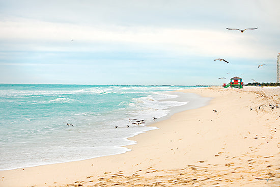 Catch A Star Fine Art STAR134 - STAR134 - Coastal Miami Shoreline - 16x12 seagulls flying, beach lifeguard stand, sandy beach, tropical birds, coastal scene, seashore, wild birds, ocean surf from Penny Lane