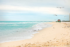 STAR134 - Coastal Miami Shoreline - 16x12