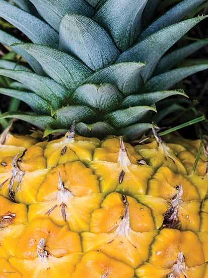 Catch A Star Fine Art STAR145 - STAR145 - Prickly Perfection - 12x16 pineapple, tropical fruit, ripe, close-up, texture, yellow and green, natural pattern, spiky leaves, exotic, organic produce from Penny Lane