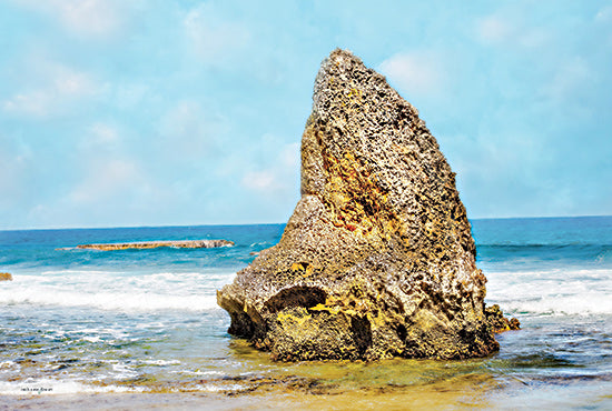 Catch A Star Fine Art STAR148 - STAR148 - Puerto Rico Beach - 18x12 sea rock, beach shore, tide pool, textured stone, ocean landscape, coastal erosion, waterline, island feature, beach formation from Penny Lane
