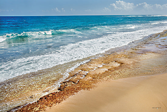 Catch A Star Fine Art STAR152 - STAR152 - Rugged Shoreline I - 18x12 ocean waves, sandy shore, beach textures, clear water, tropical shoreline, natural beauty, sea foam, travel destination from Penny Lane