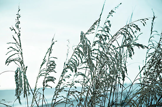 Catch A Star Fine Art STAR157 - STAR157 - Hidden Horizon - 18x12 coastal grass, dune grass, beach vegetation, sea oats, shoreline plants, tall grass, horizon, calm from Penny Lane