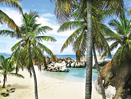 Catch A Star Fine Art STAR159 - STAR159 - Spring Bay Hidden Cove - 16x12 tropical beach, palm trees, boulders, blue lagoon, sandy shore, island scenery, paradise setting from Penny Lane