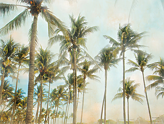 Catch A Star Fine Art STAR160 - STAR160 - Sunrise Palms - 16x12  palm tree grove, vintage filter, coastal palms, artistic style, tropical canopy, tall trees, beachside from Penny Lane