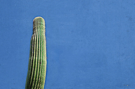 Catch A Star Fine Art STAR181 - STAR181 - Saguaro Standing Tall III - 18x12 solitary cactus, vertical succulent, clear sky, saguaro cactus, desert flora, minimalist desert art, blue background, bold vertical plant, desert environment from Penny Lane